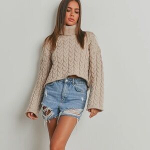 THICK BRAID TURTLE NECK SWEATER